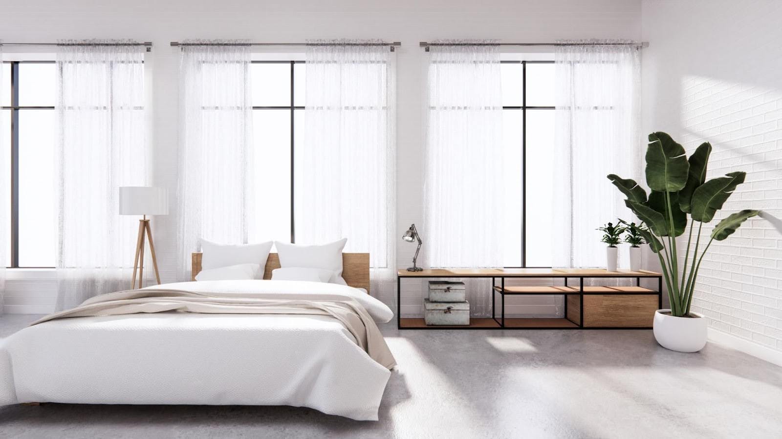 Best Bedroom Plants for a Healthier and Restful Night's Sleep