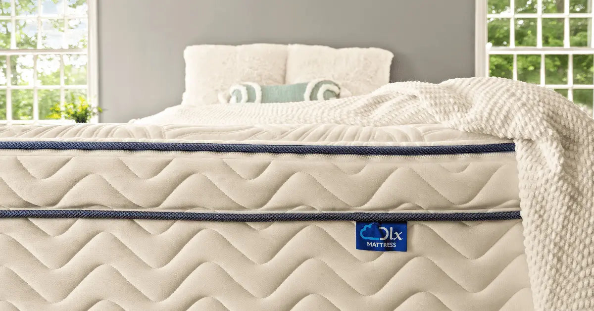Rebellion Worthy Retail Mattresses (with Zippered Covers) 28 dlx mattress social